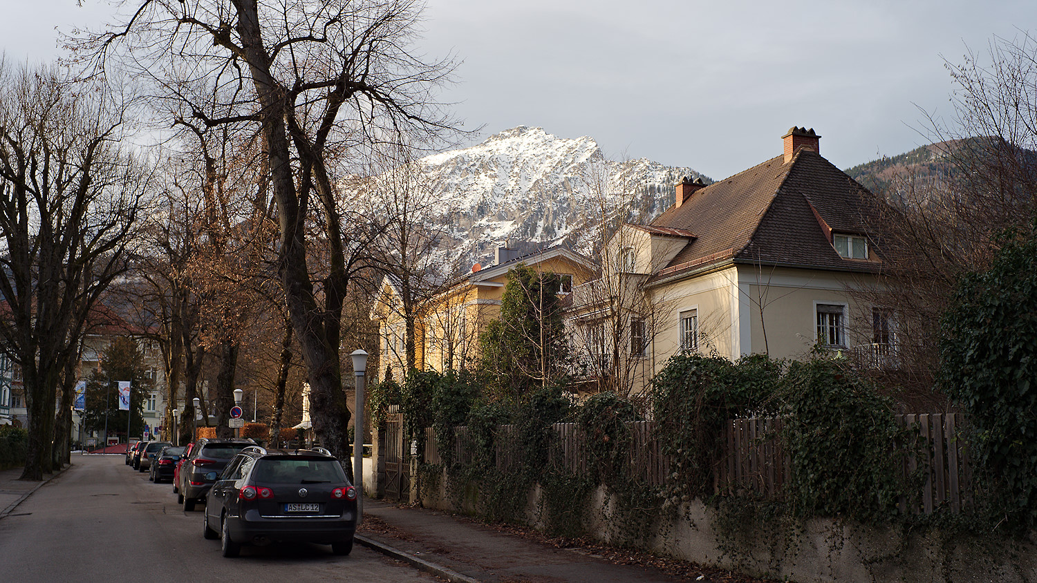 Afternoon Light