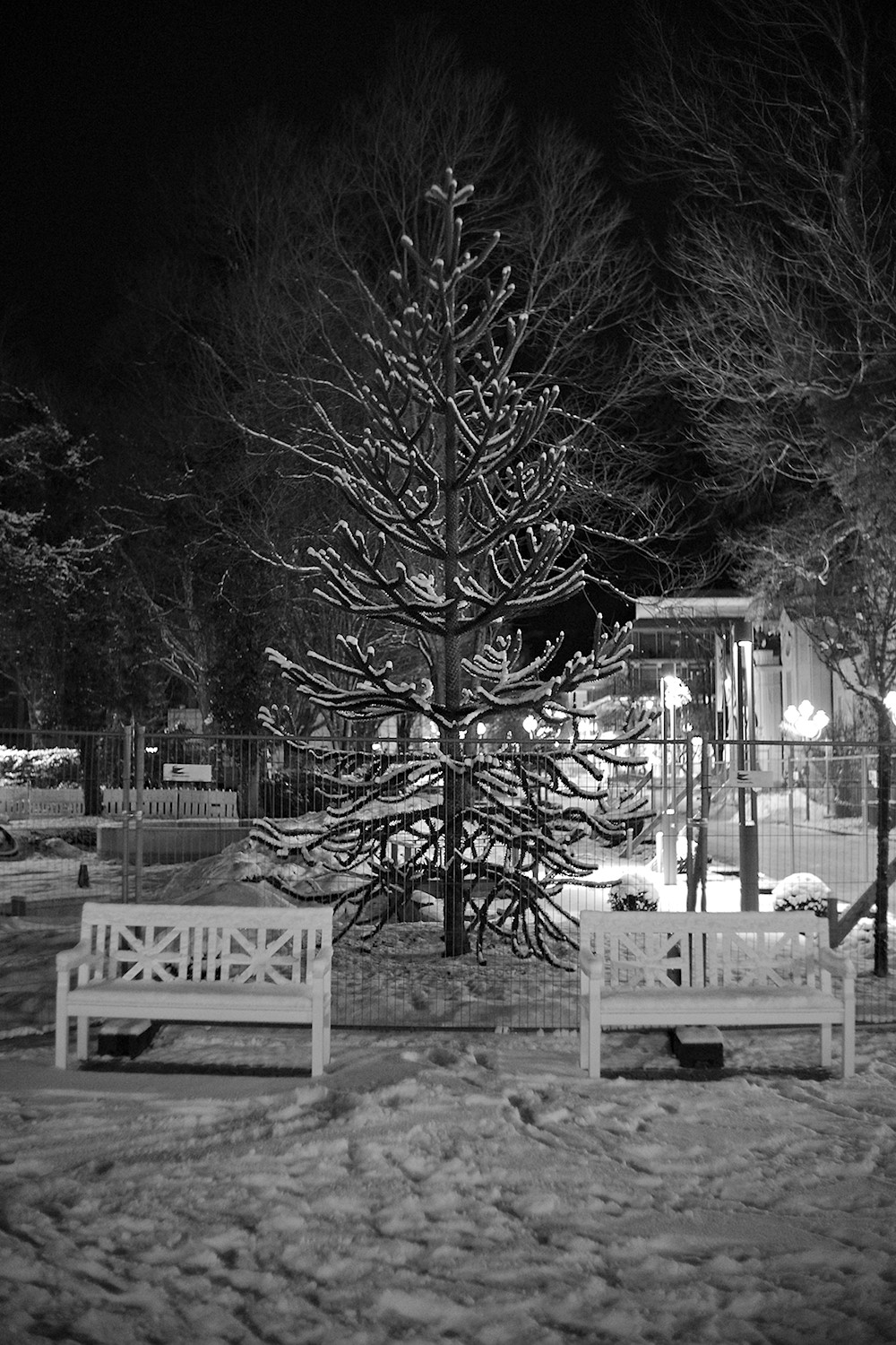 Empty Benches