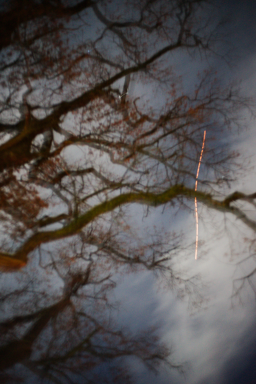 New Year’s Fireworks