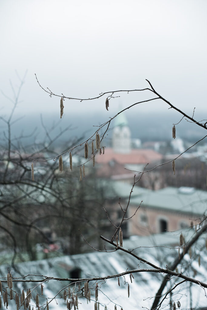 Enemies, , Bad Reichenhall