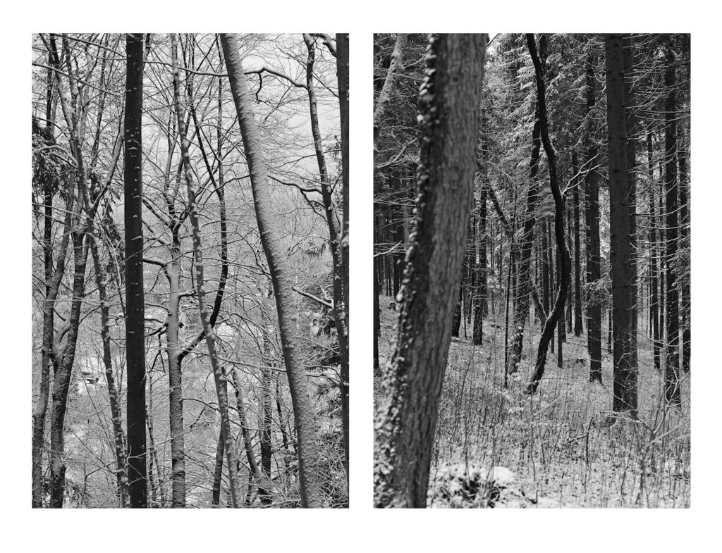 Black Trees, Kirchholz, Bad Reichenhall