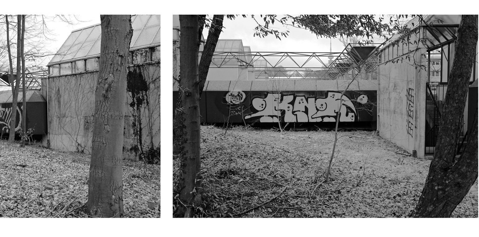 Graffiti in the Forest