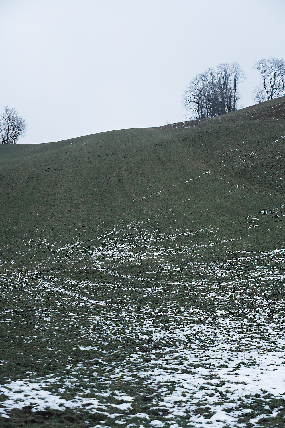Frozen Tracks