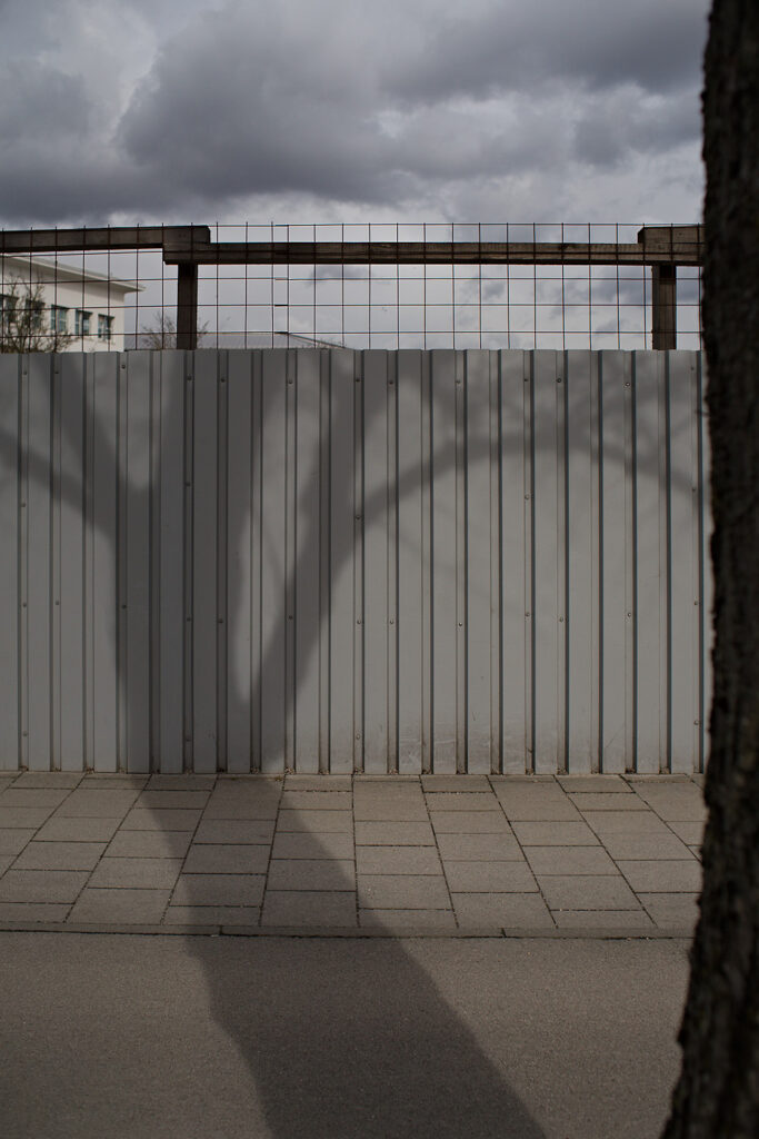 Tree on Fence, Dachauer Str., Munich