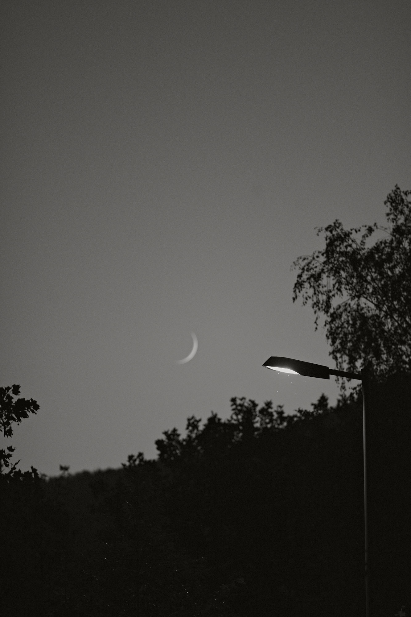 Summer Evening