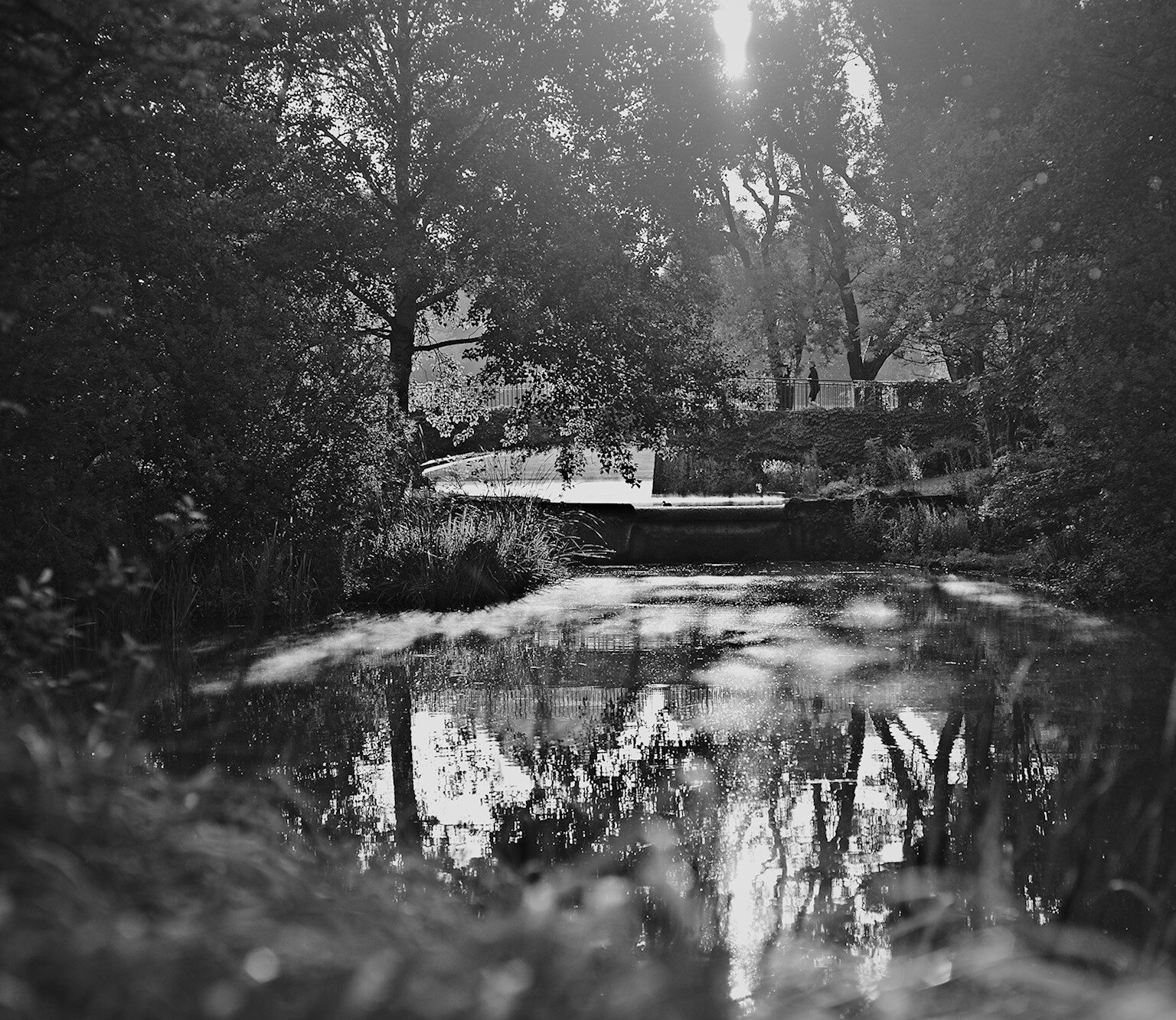 Backlight is good Light