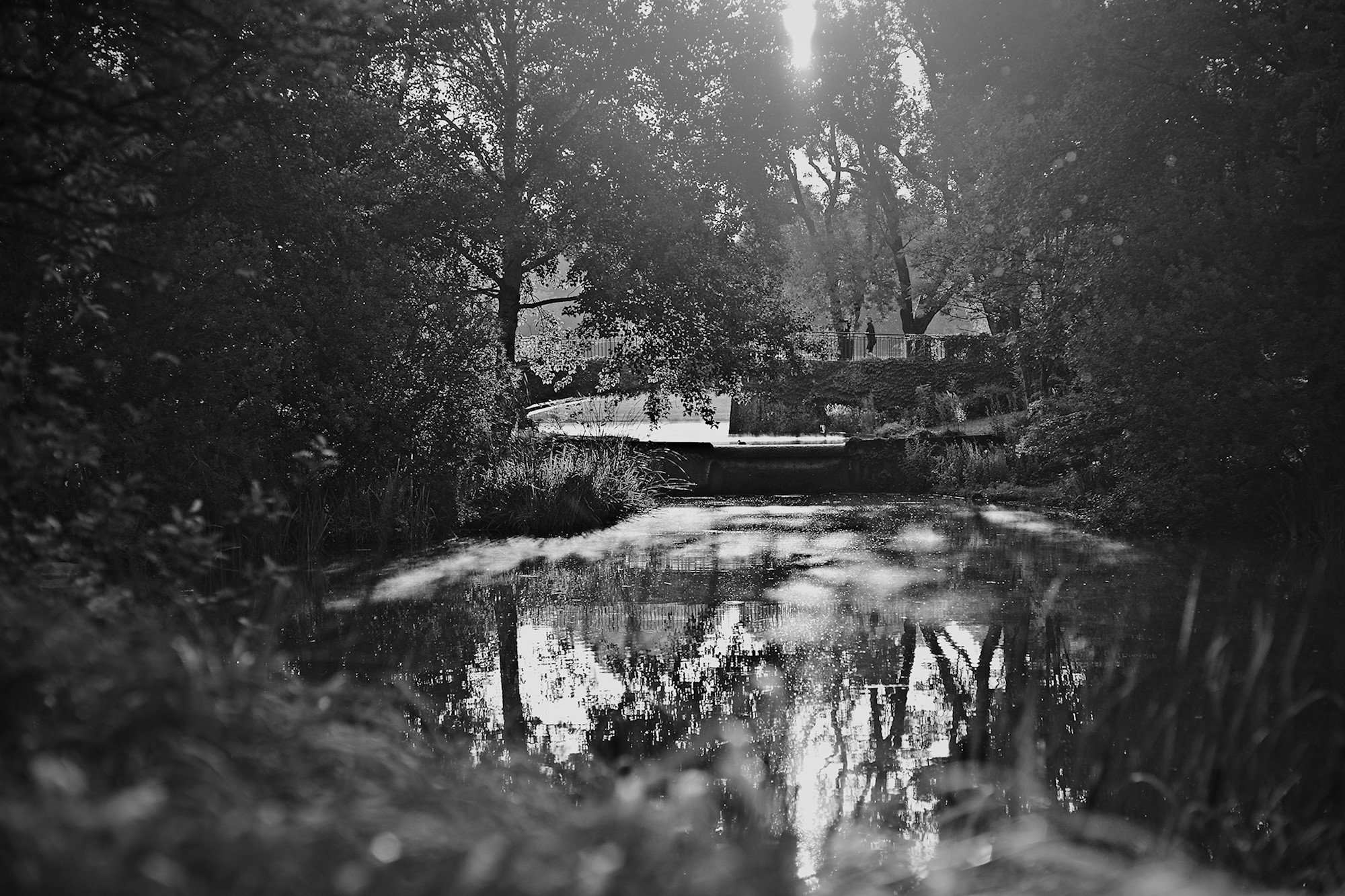 Backlight is good Light