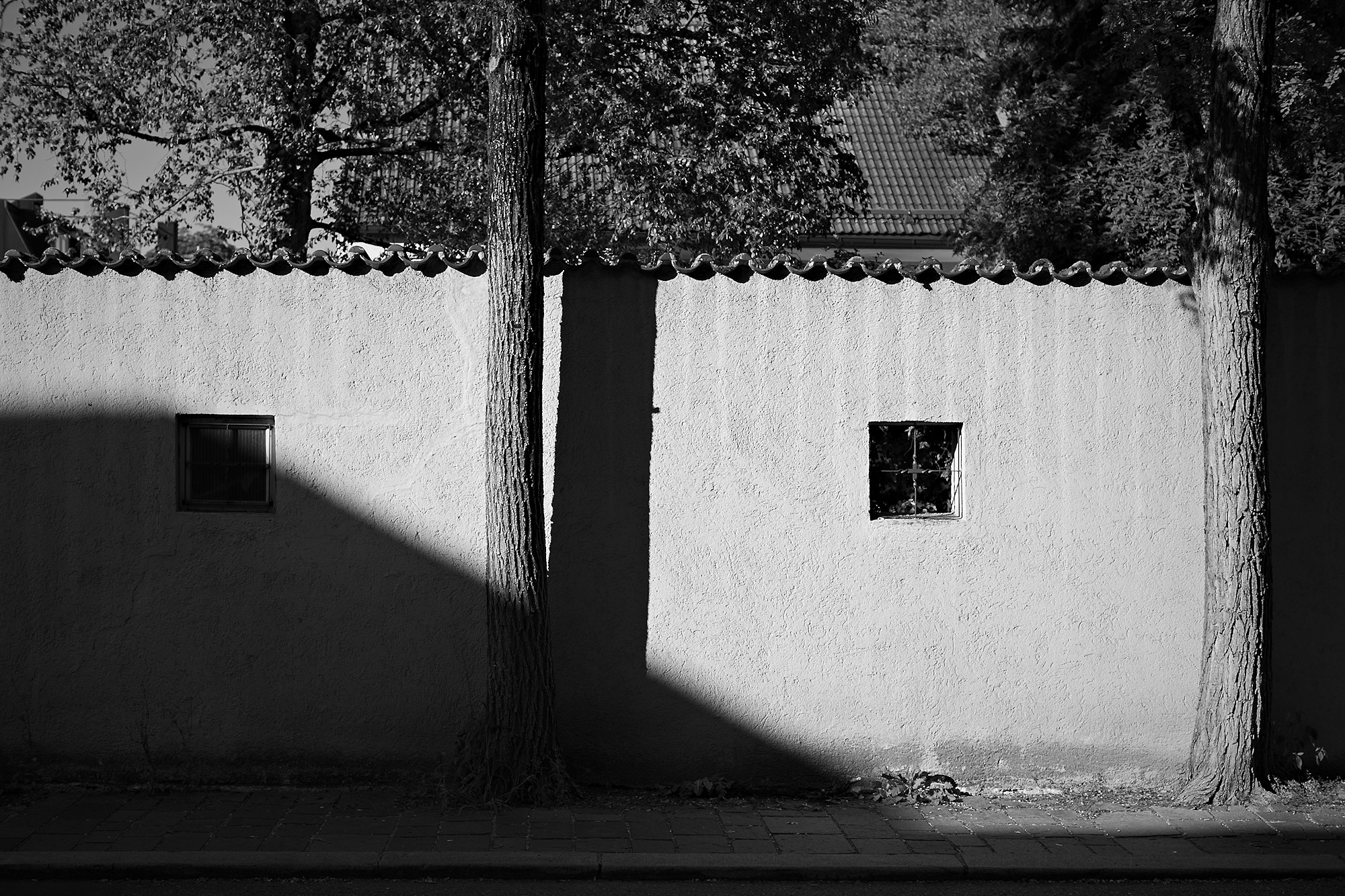 Shadows on the Wall