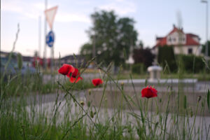 Summertime
