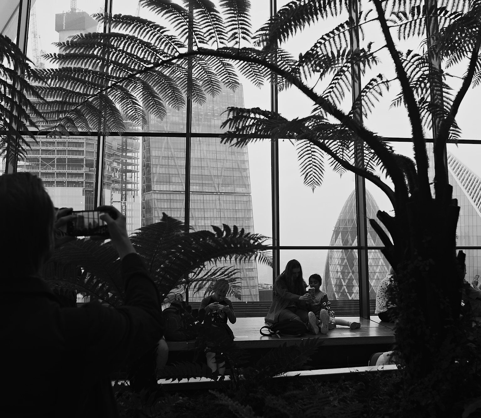 Delicate Silhouettes