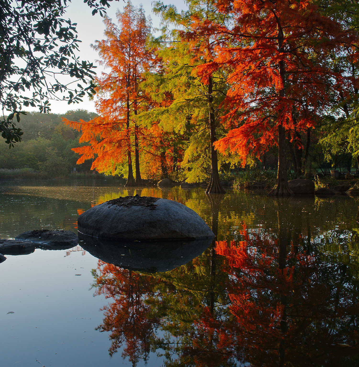 Inner City Indian Summer