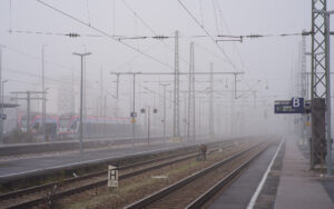 Grey Morning
