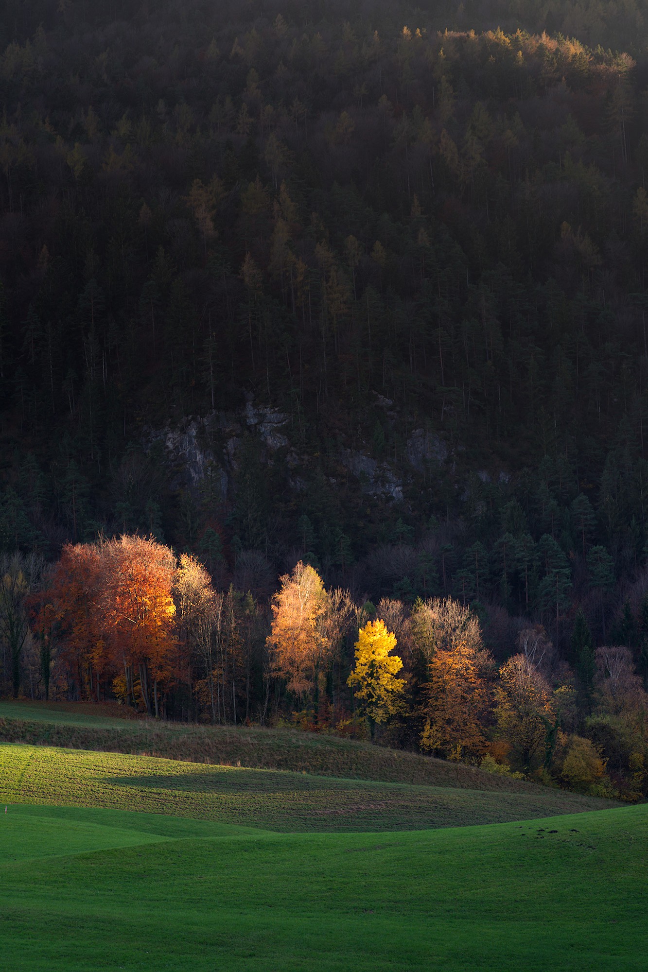 Last Light II