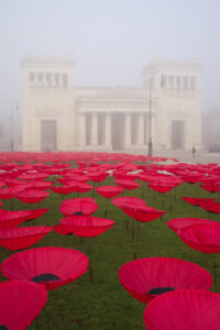 Red Poppies revisited