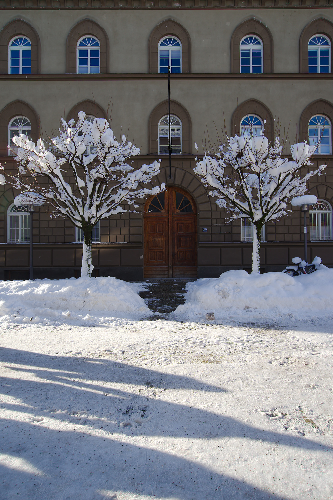 Enough Snow