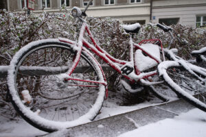 Got Winter