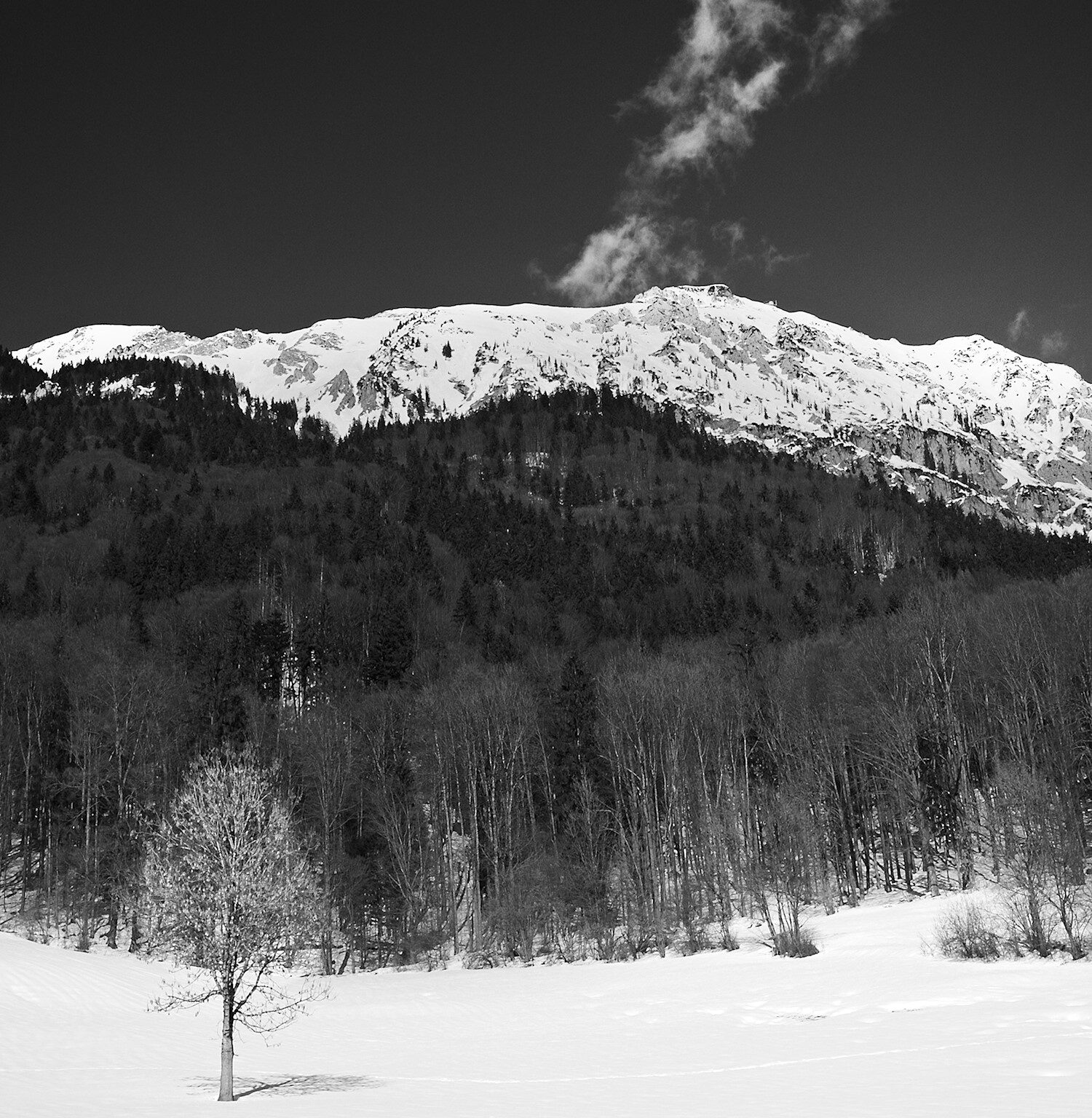 Mt Staufen with Feather