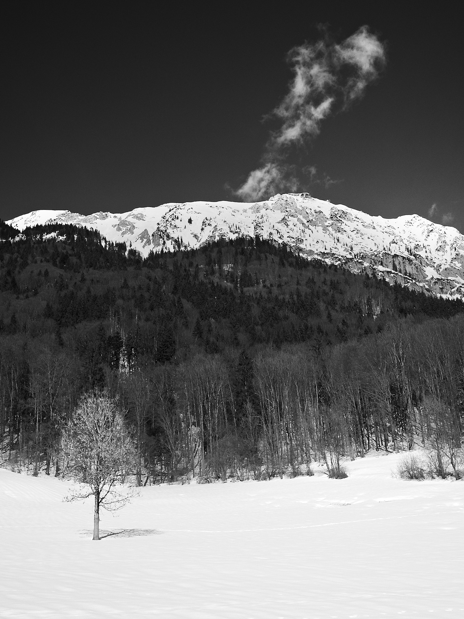 Mt Staufen with Feather