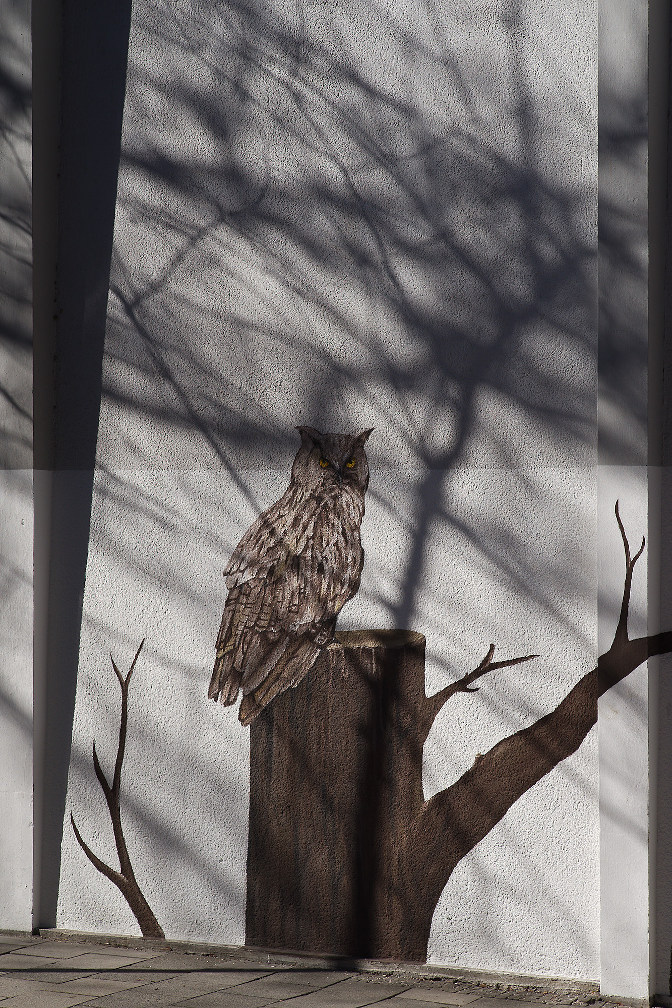 Urban Wildlife II