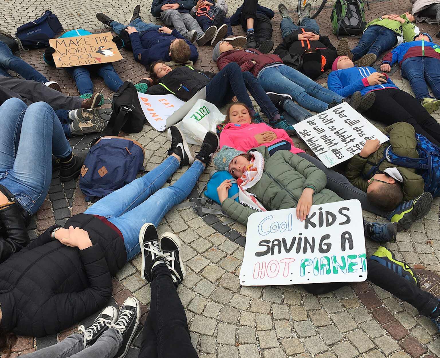 Die-in for the Climate