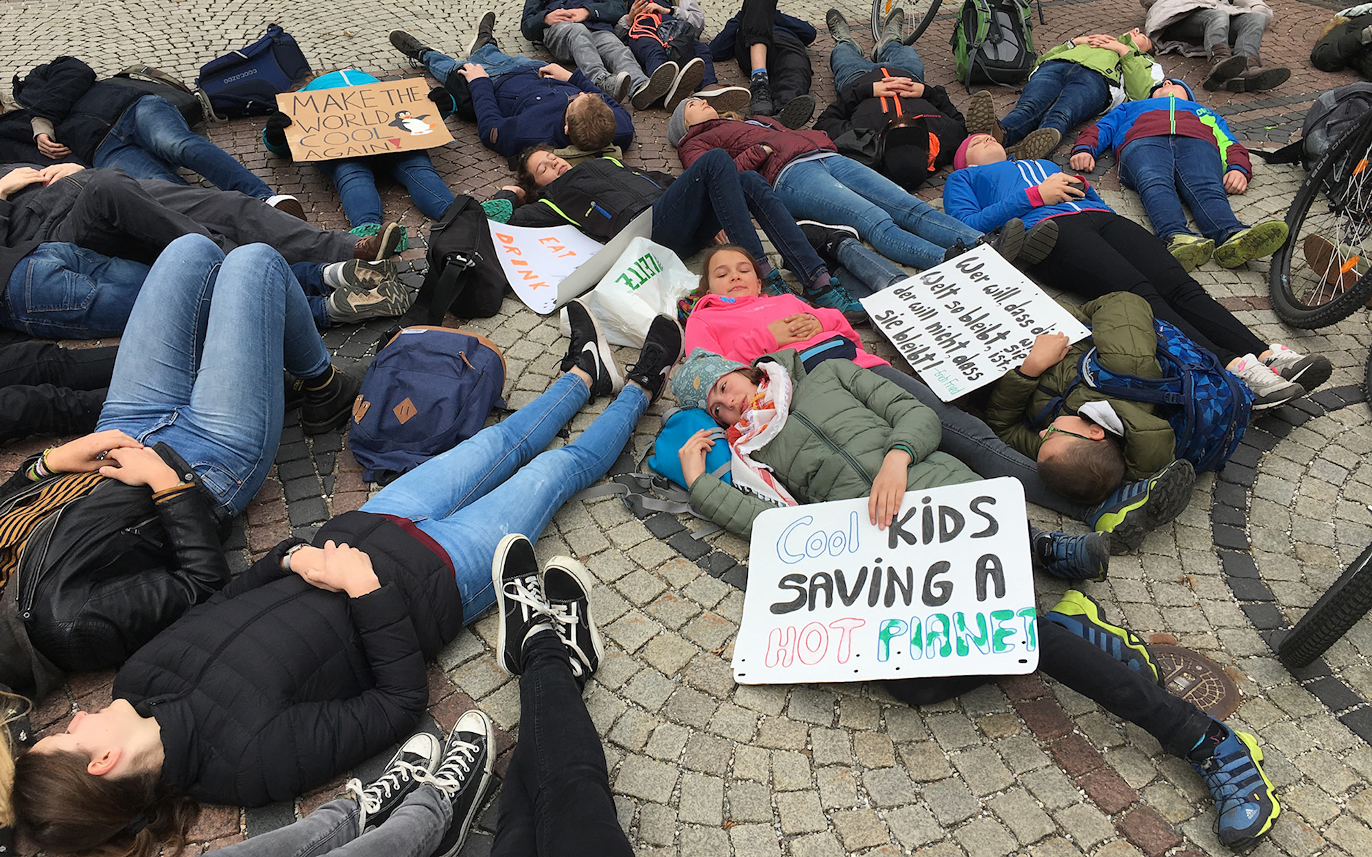 Die-in for the Climate