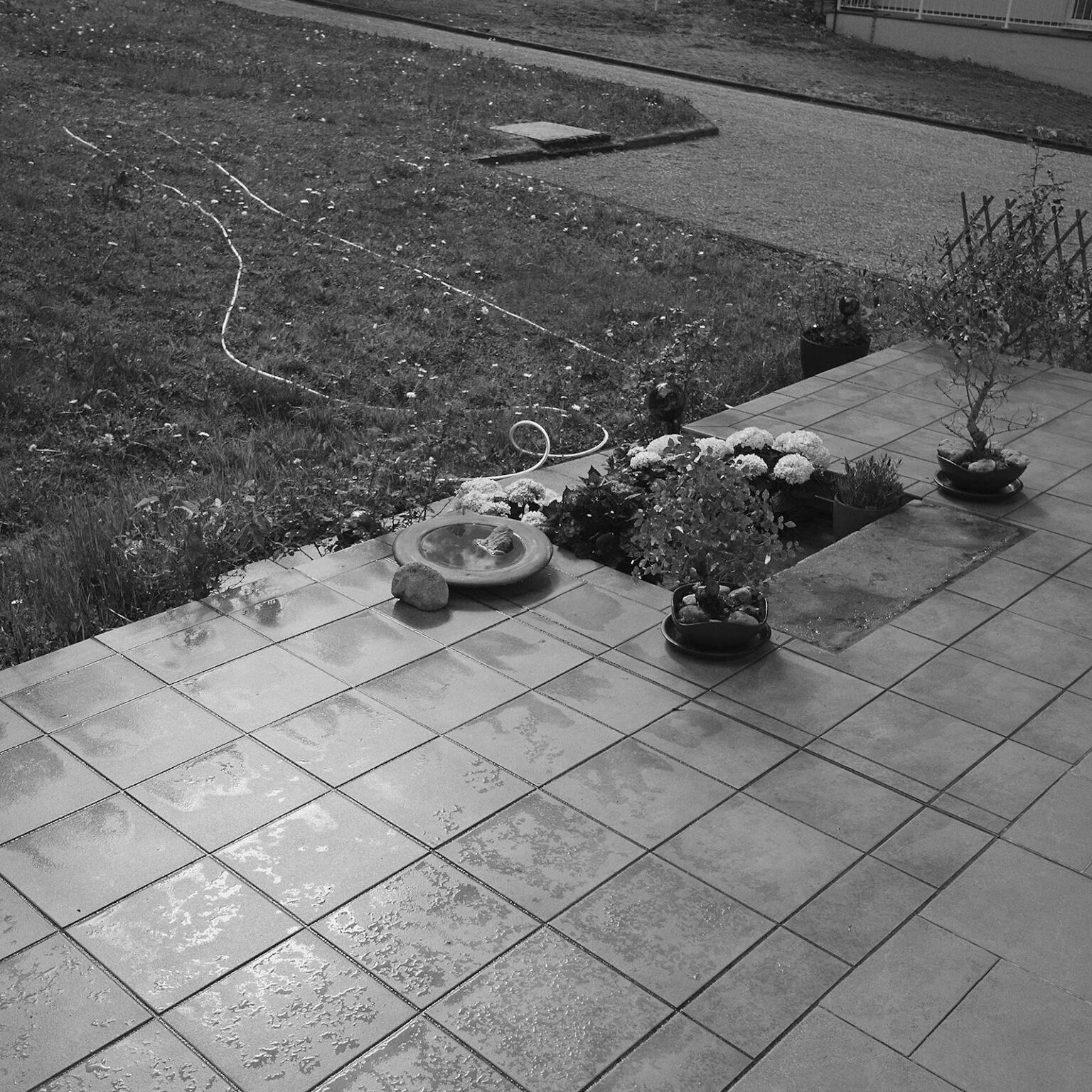 Rainy Tiles and Anaconda