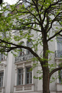 City Tree