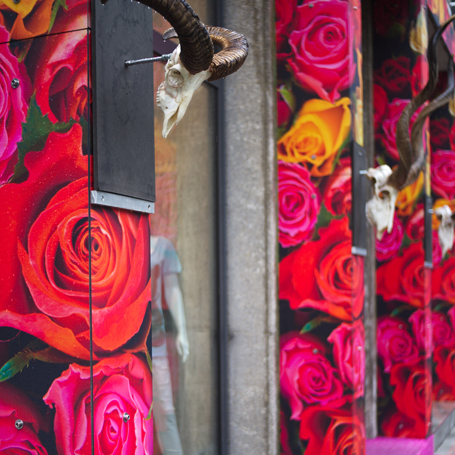 The Rose is a Symbol of Death
