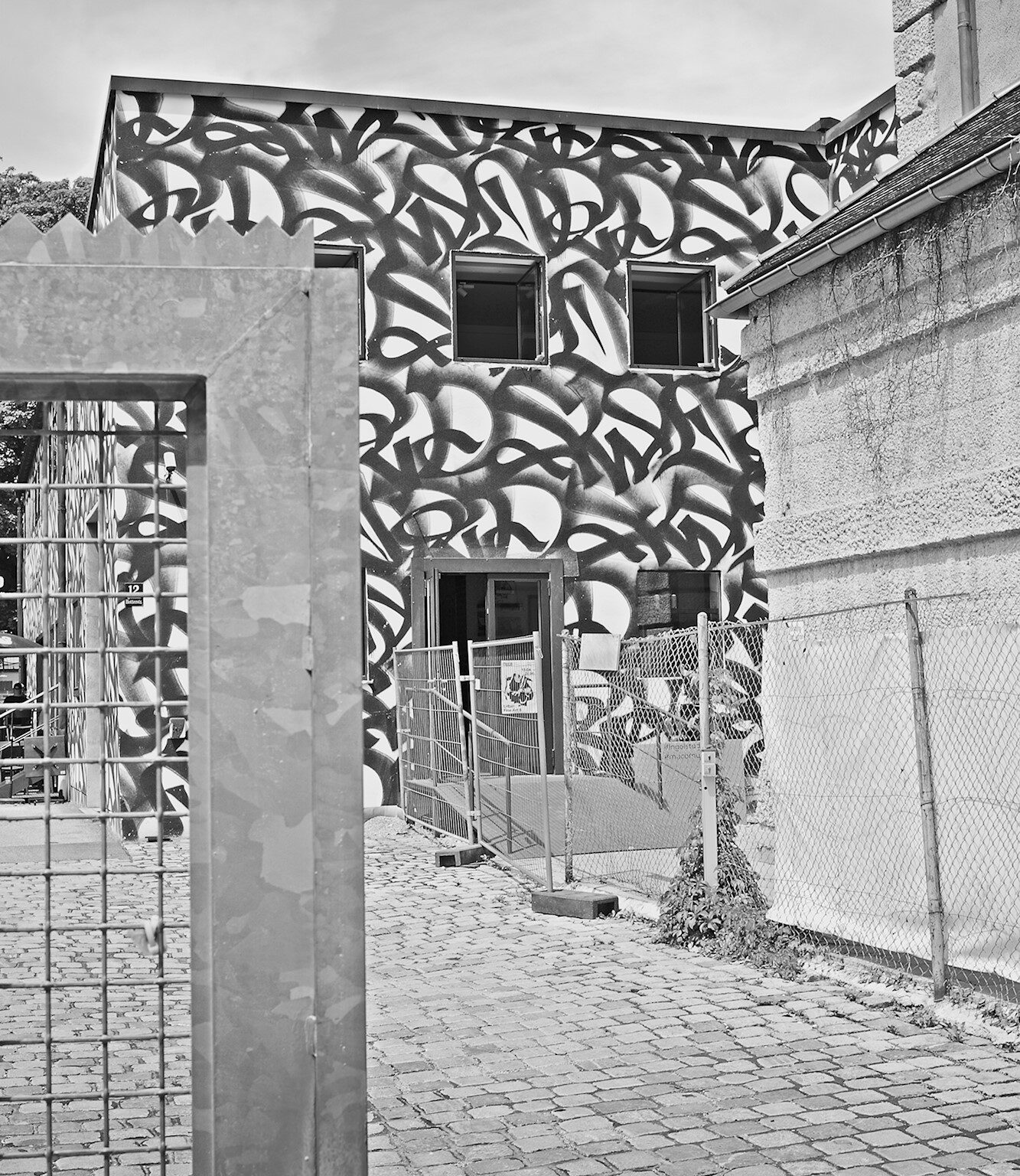Camouflage House