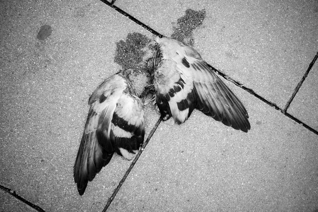 Hermes was here, Neuhauser Str., Munich, Memento Mori, Urban