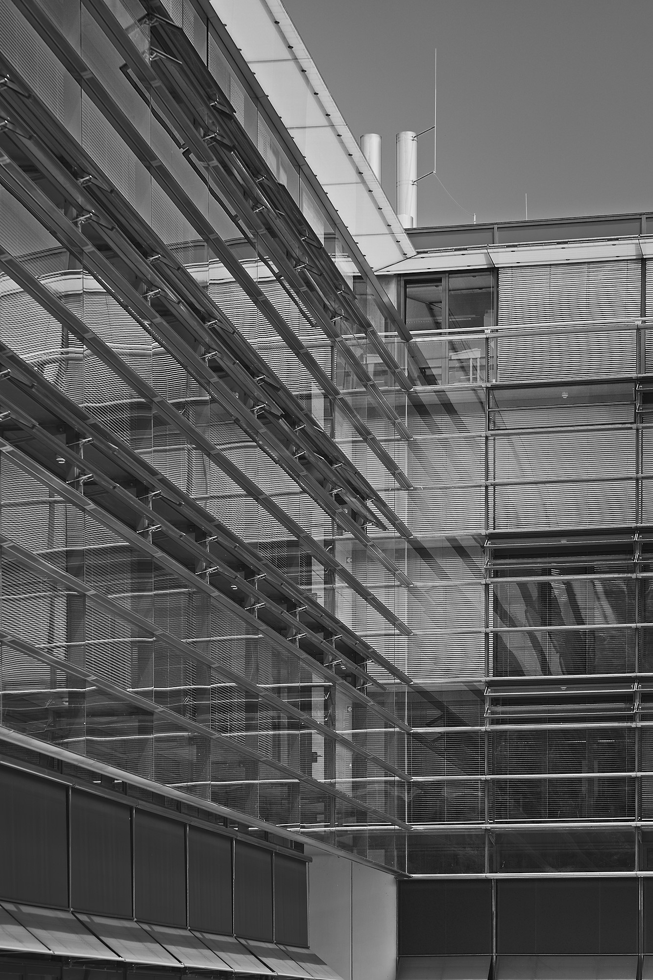 Lifeless Facade