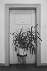 Next Door please