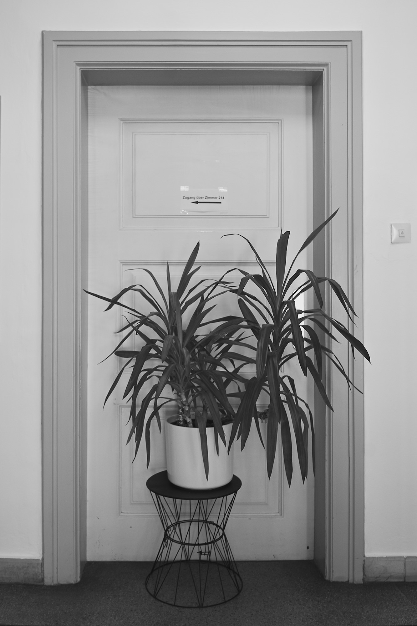 Next Door please
