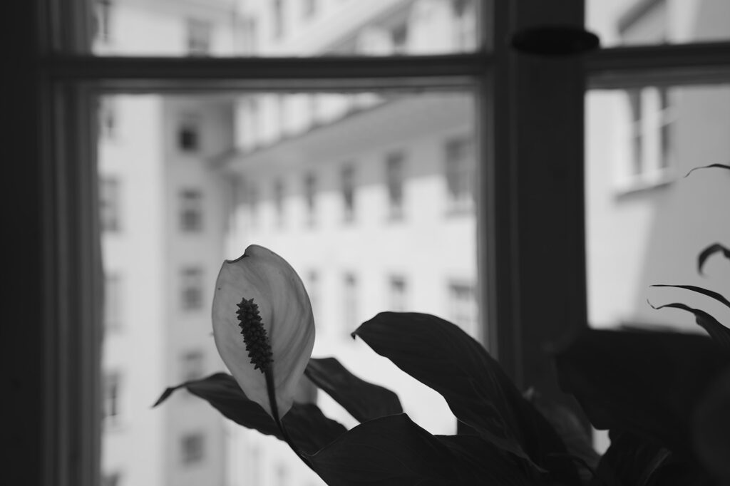 Outwards, Blumenstr., Munich, Black & White, Urban