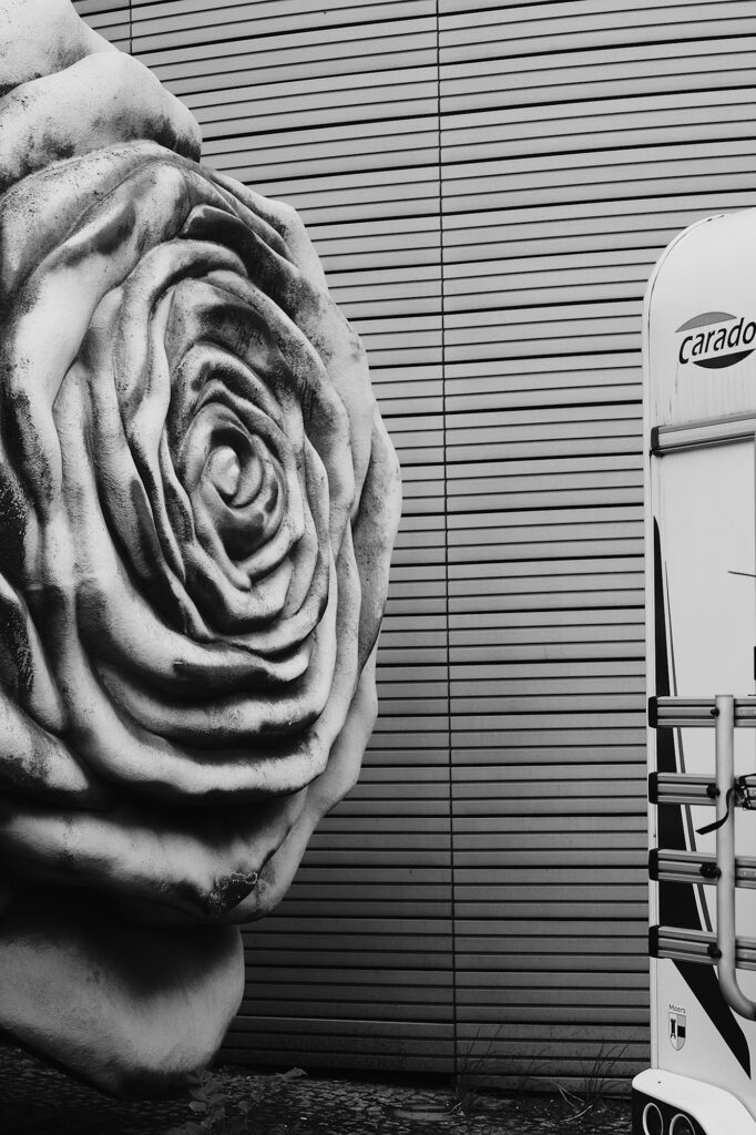 A Rose by another Name, Schöneberger Ufer 5, Berlin, geotagged, Black & White, Common Places, Urban