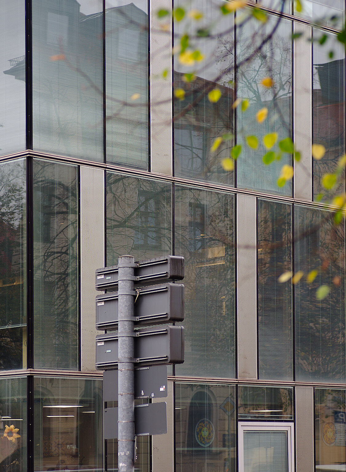 Autumn Tree in the City