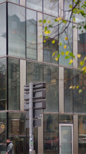 Autumn Tree in the City