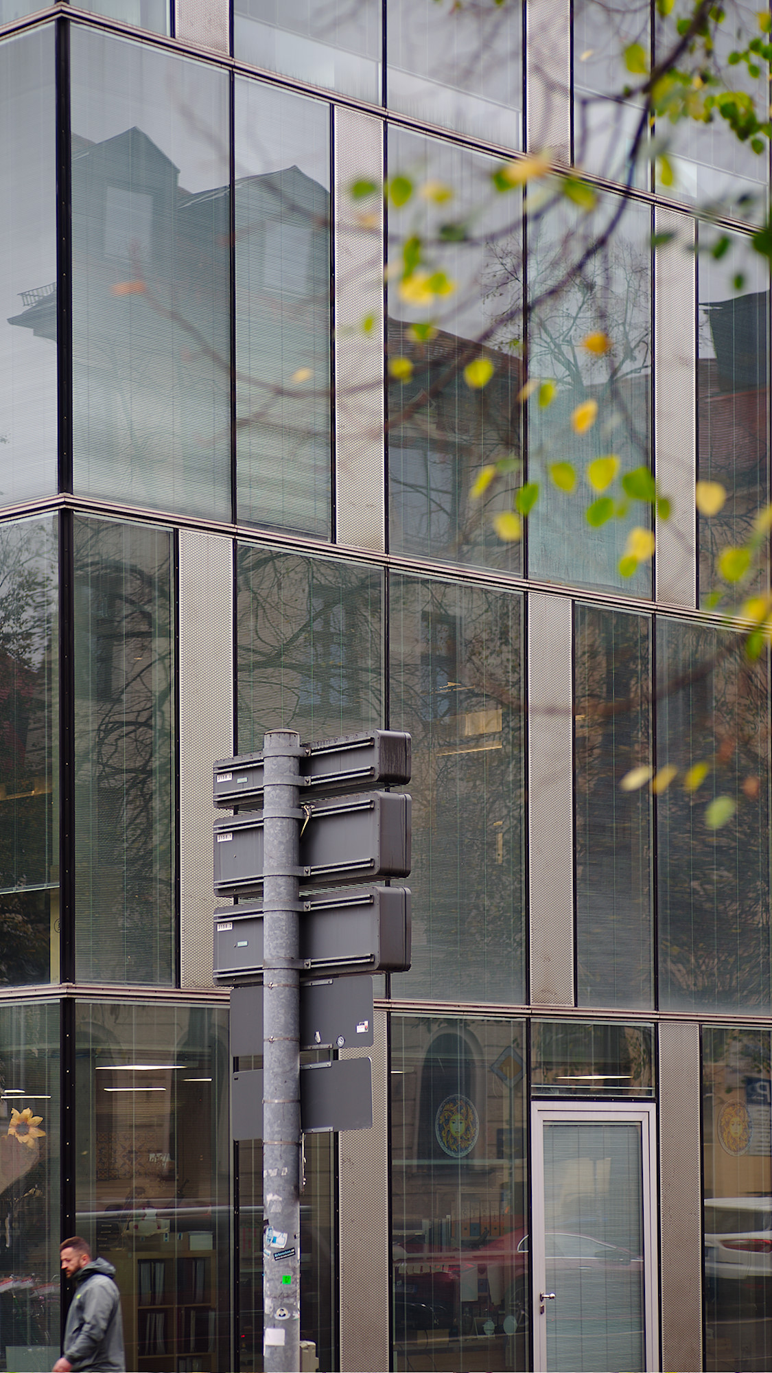 Autumn Tree in the City