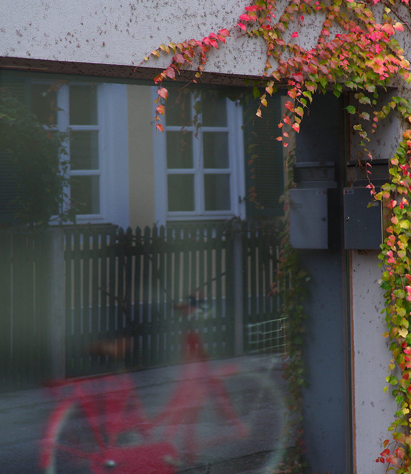Autumn Colors