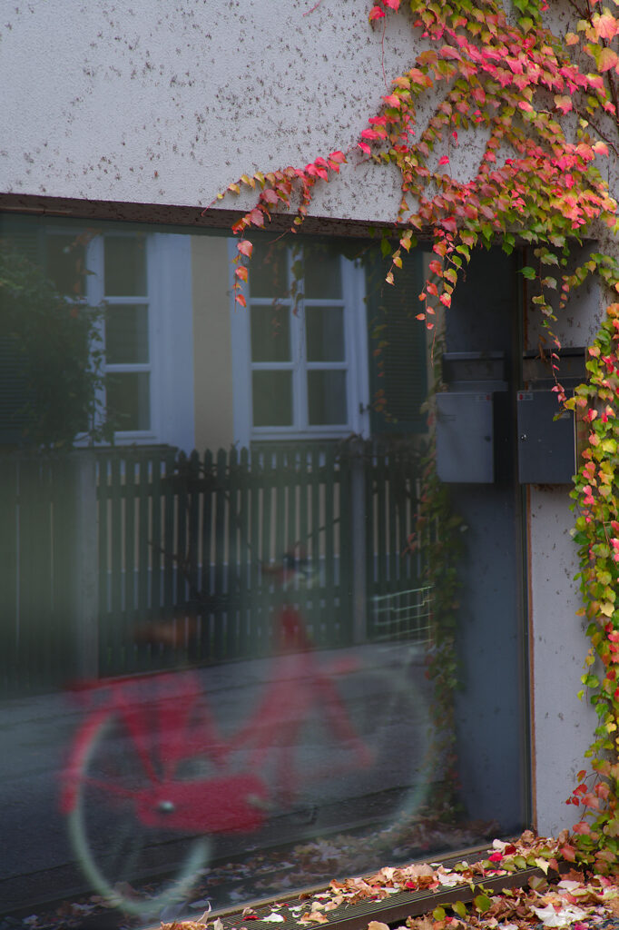 Autumn Colors, Lehel, Munich, Bicycle, Urban