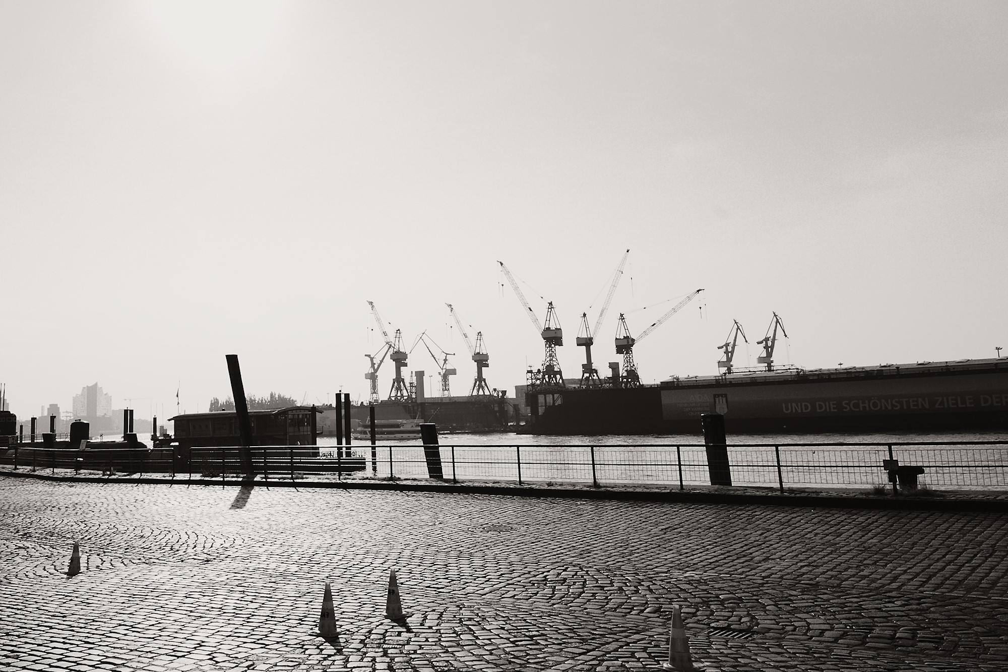 More Backlight – Elphi afar