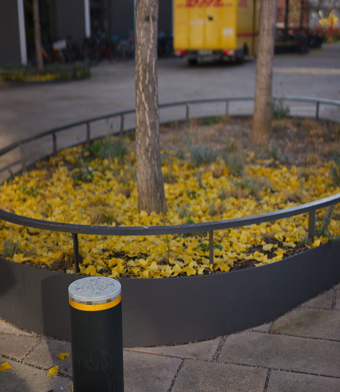 A unusual Amount of Yellow