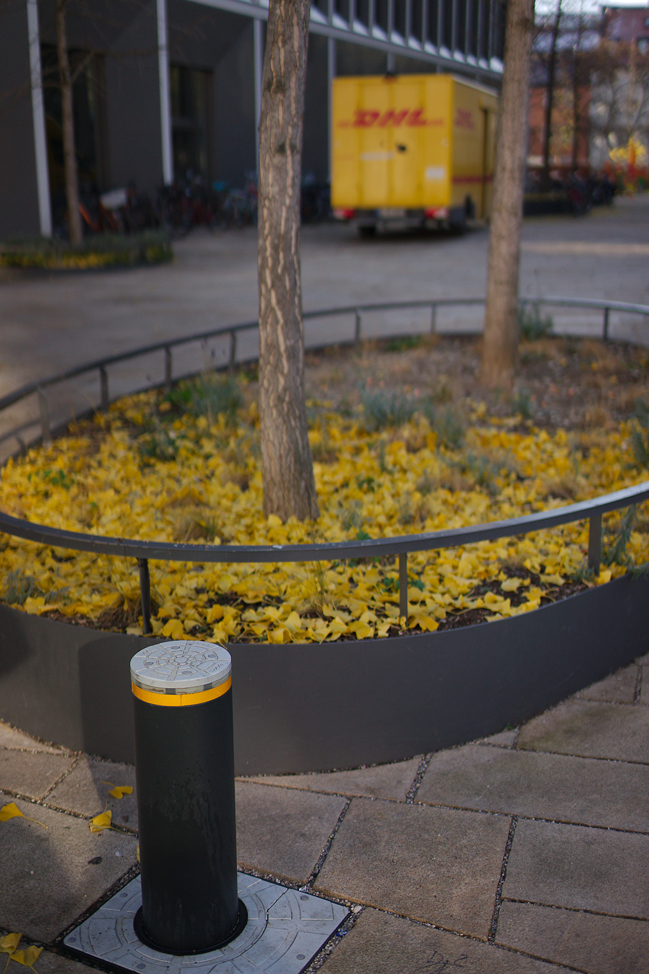 A unusual Amount of Yellow