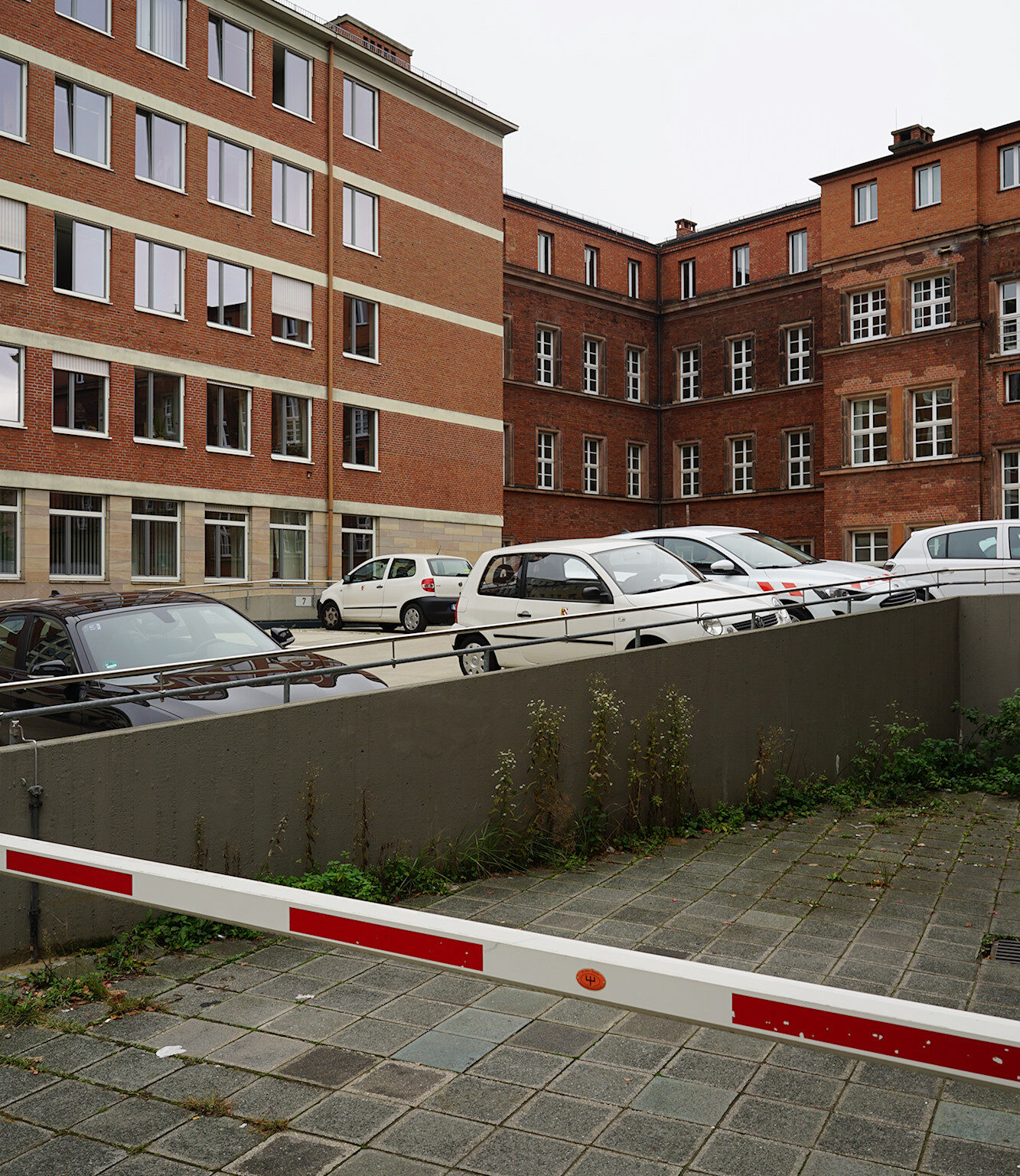 Backyard Barrier