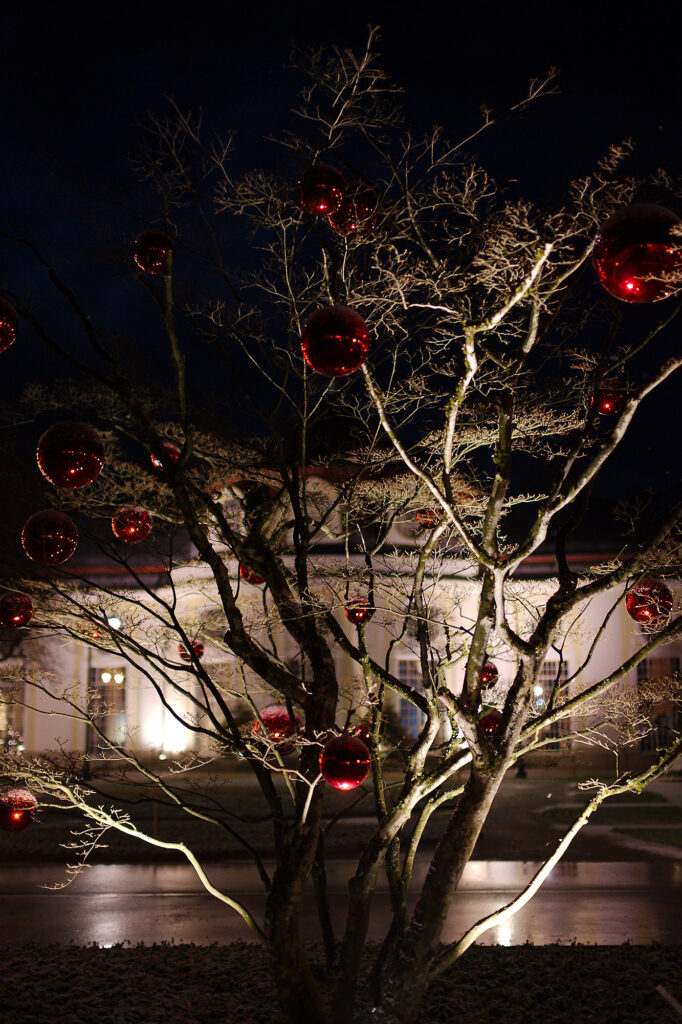 Decorated Tree and Concert Hall, Spa Gardens, Bad Reichenhall, Christmas, Night, Urban