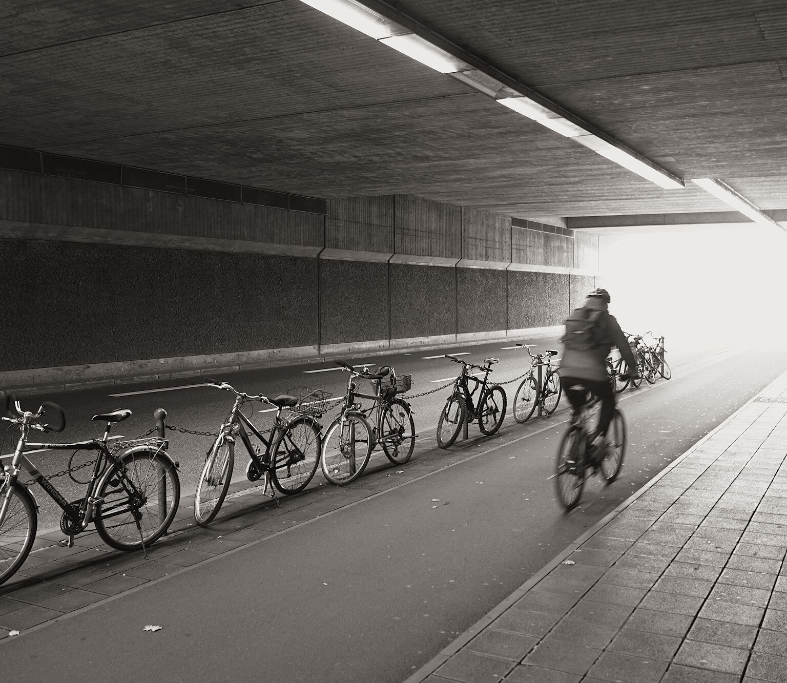 Into the Light
