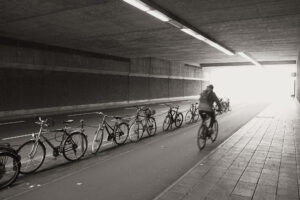 Into the Light