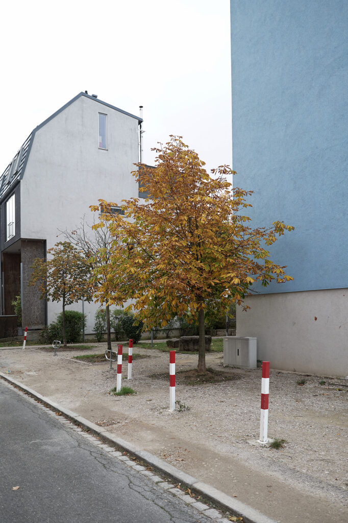 Soft Fall Colors, Burgerstr., Munich, Common Places, Urban