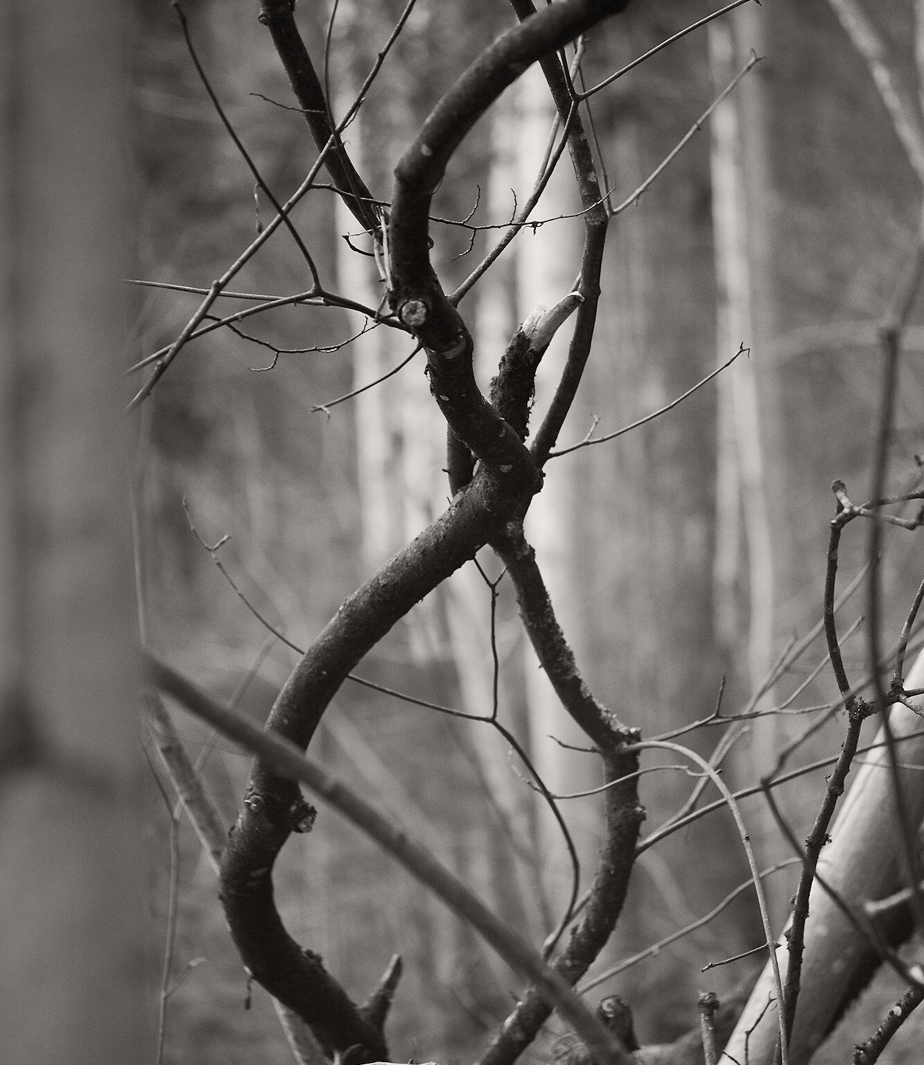 Intertwined