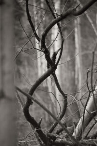 Intertwined
